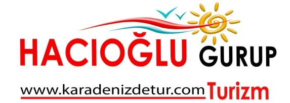 HACIOĞLU GURUP Logo